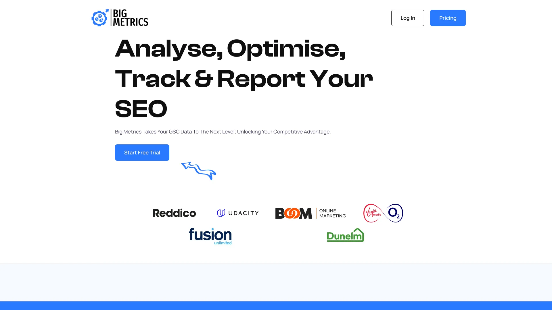 Big Metrics SEO Platform screenshot