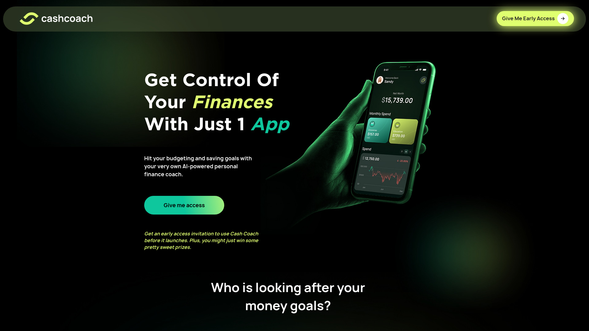 CashCoach.ai screenshot